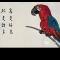 宰舞寥