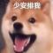 人生海海