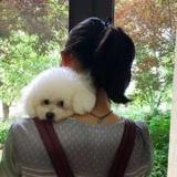 吃独食の苏