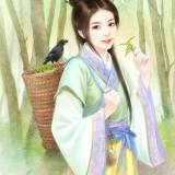 书友12659