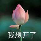 书友47708