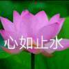 书友86570