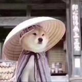 追幻逐梦