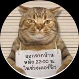 Alysosis慶