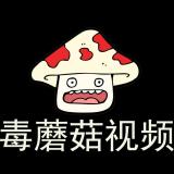 金消保
