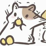 鱼非愚