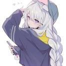 燃  RAM