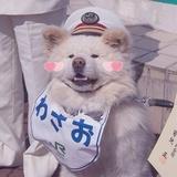 小宸er