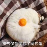 书友74656