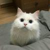 不觉好梦