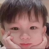 芳芳芳