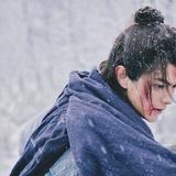 花千树星如雨