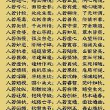 飞天摸鱼小天才