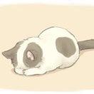 o(&gt;﹏&lt;)o