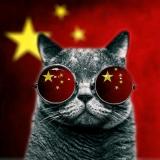子夜海风