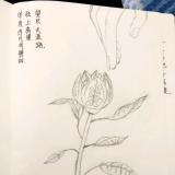 CSW大銌