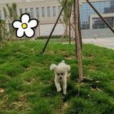 暴躁小宜