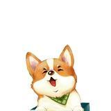 辛德瑞拉
