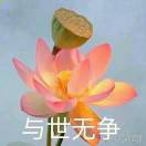 圆不留秋