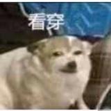 治愈系毒奶