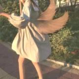萱竹映月影