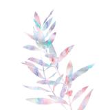 一眼旧梦