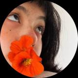 繁荣玉米来把五子棋