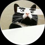 扶风