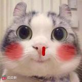 冷血