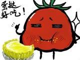 洛堤