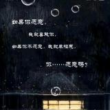 摩羯座灰太狼