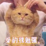 绝版少男