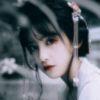 书友16715