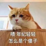 书友52826