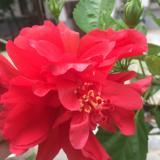 有儿有女 一生幸福