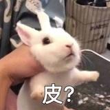 草祭