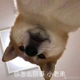 书友88069
