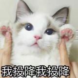 晴天～天晴