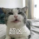 守护