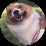 白熊白熊