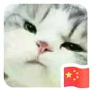 猫族领袖