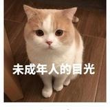 橘子