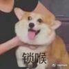 行也行不行也行