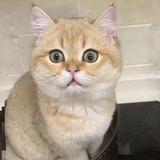 尔姜
