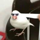 神不愣灯M