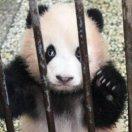愚蠢的凡人哈哈哈哈哈