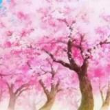 过眼云烟