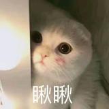 勿流音