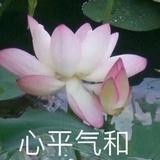 知非