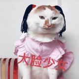 孤独浪者